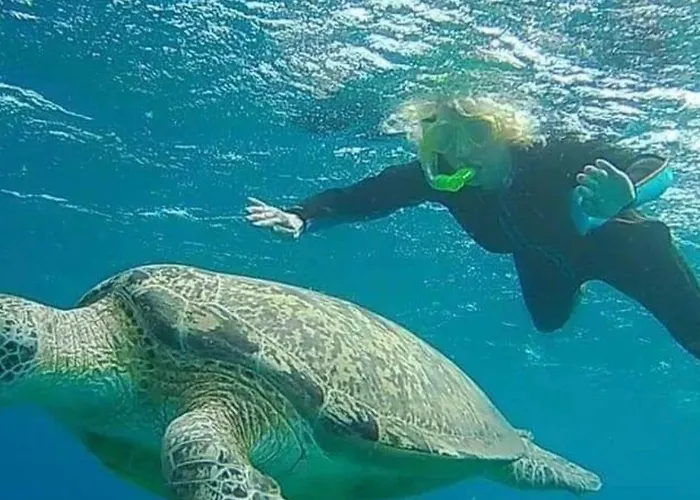 Diving With Turtles